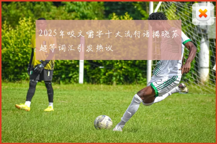 2025年咬文嚼字十大流行语揭晓苏超等词汇引发热议