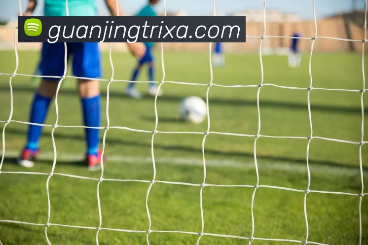 冠竞体育平台生态图