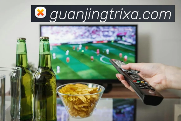 冠竞体育APP 封面图